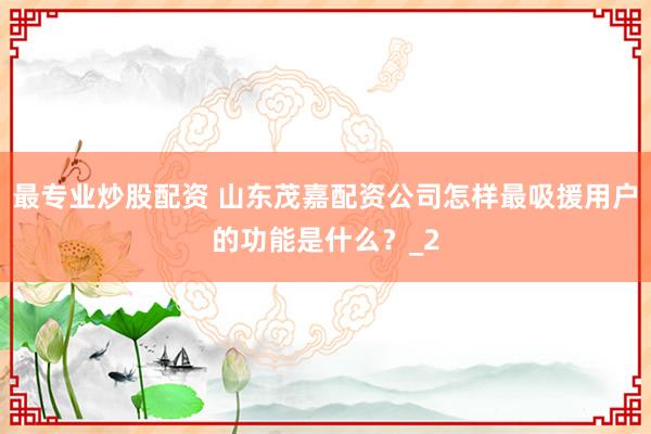最专业炒股配资 山东茂嘉配资公司怎样最吸援用户的功能是什么？_2