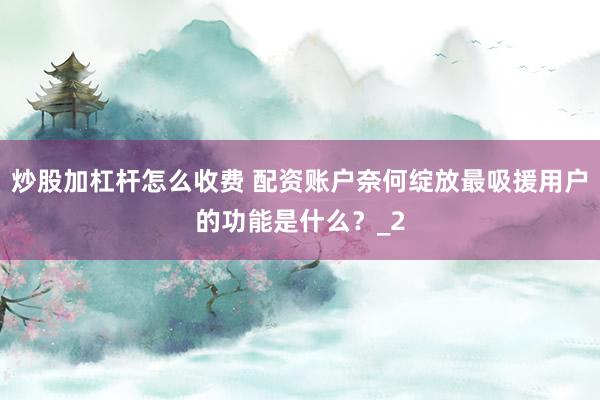 炒股加杠杆怎么收费 配资账户奈何绽放最吸援用户的功能是什么？_2