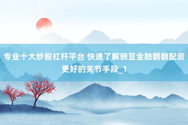 专业十大炒股杠杆平台 快速了解豌豆金融翻翻配资更好的关节手段_1